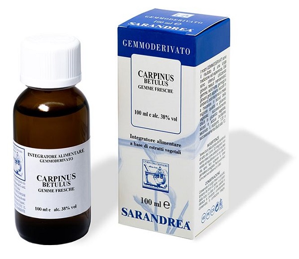 CARPINUS BETULUS 100 ML MACERATO GLICERICO - Fontenova srl