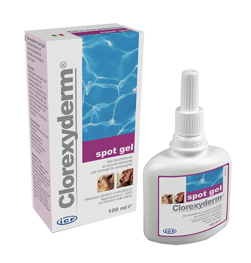 CLOREXYDERM SPOT GEL 100 ML - Fontenova srl