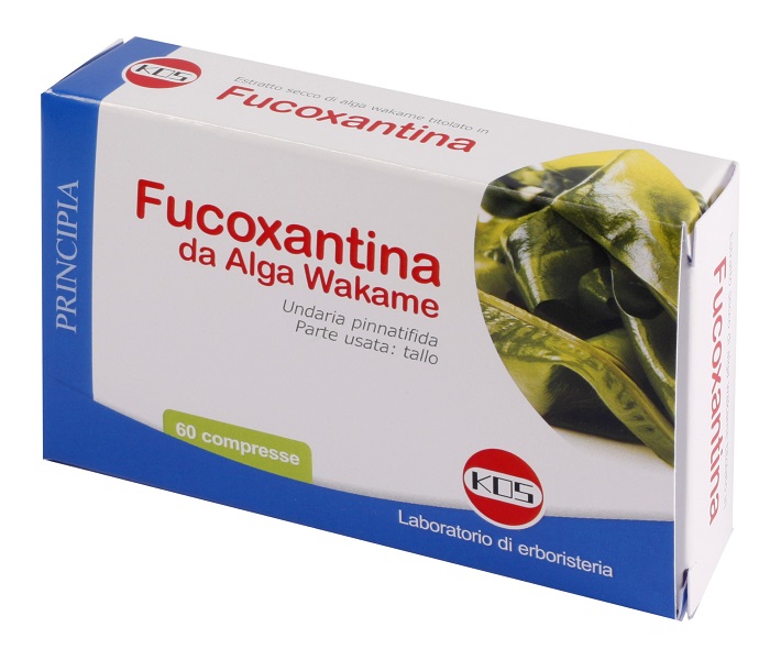 FUCOXANTINA 60 COMPRESSE - Fontenova srl