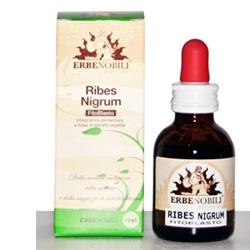 FITOBLASTO RIBES NIGRUM 50 ML - Fontenova srl