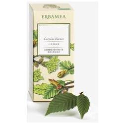 RIBES NIGRUM GEMME GEMMODERIVATO BIO 50 ML - Fontenova srl