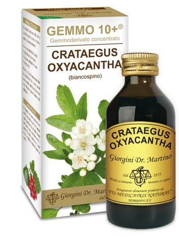 GEMMO 10+ BIANCOSPINO LIQUIDO ANALCOLICO 100 ML - Fontenova srl