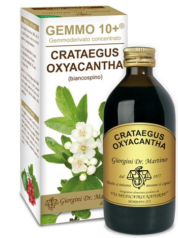 GEMMO 10+ BIANCOSPINO LIQUIDO ANALCOLICO 200 ML - Fontenova srl