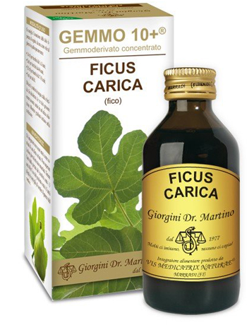 GEMMO 10+ FICO LIQUIDO ANALCOLICO 100 ML - Fontenova srl