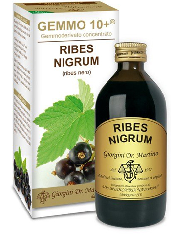 GEMMO 10+ RIBES NERO 200 ML LIQUIDO ANALCOLICO - Fontenova srl
