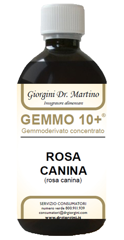 GEMMO 10+ ROSA CANINA LIQUIDO ANALCOLICO 500 ML - Fontenova srl