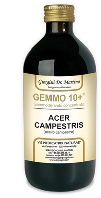 GEMMO 10+ ACERO CAMPESTRE 500 ML LIQUIDO ANALCOLICO - Fontenova srl