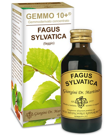 GEMMO 10+ FAGGIO 100 ML LIQUIDO ANALCOLICO - Fontenova srl