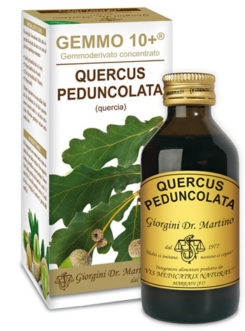 GEMMO 10+ QUERCIA 100 ML LIQUIDO ANALCOLICO - Fontenova srl