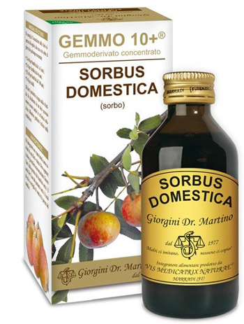 SORBO ANALCO GEMMO 10+ 100 ML - Fontenova srl