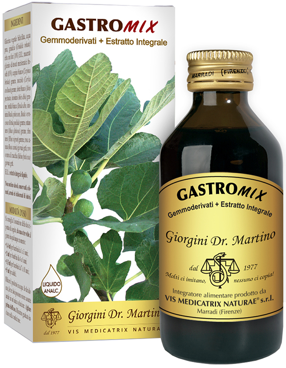 GASTROMIX LIQUIDO ANALCOLICO 200 ML - Fontenova srl