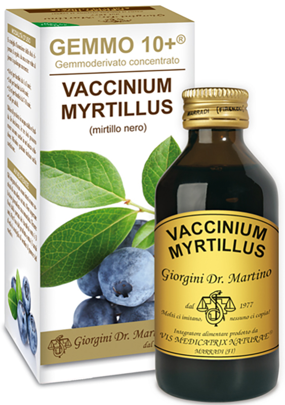 GEMMO 10+ GEMMODERIVATO CONCENTRATO VACCINIUM MYRTILLUS MIRTILLO NERO SENZA ALCOOL 100 ML - Fontenova srl