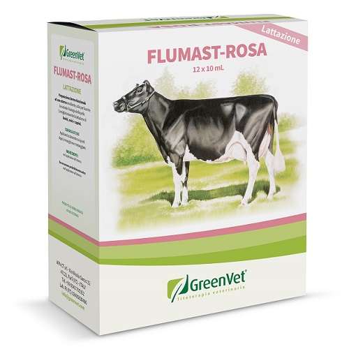 GREENVET FLUMAST ROSA DERM 12 SIRINGHE DA 10 ML - Fontenova srl