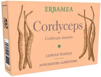 CORDYCEPS 24 CAPSULE VEGETALI - Fontenova srl