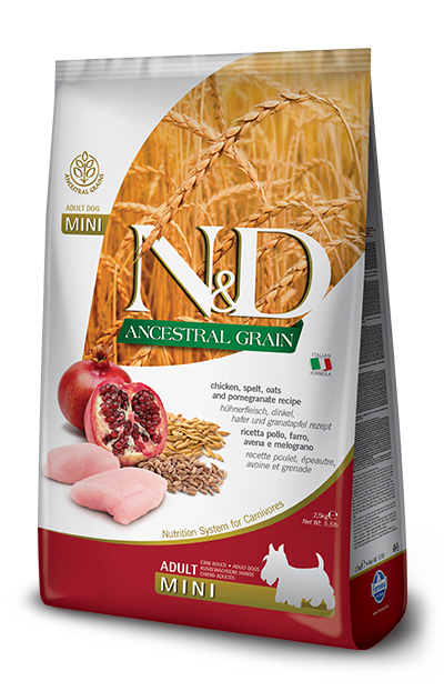 N&D ANCESTRAL CEREALS CANINE CHICKEN & POMEGRANATE ADULT MINI 800 G - Fontenova srl