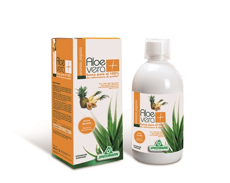 SUCCO ALOEVERA+ ANANAS/PAPAIA 1000 ML - Fontenova srl