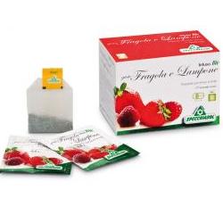 INFUSO BIO FRAGOLA E LAMPONE 20 FILTRI - Fontenova srl