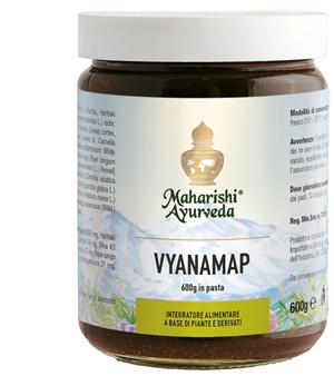 VYANAMAP PASTA 600 G - Fontenova srl