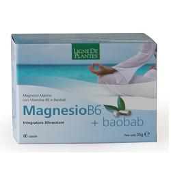 MAGNESIO B6 + BAOBAB 60 CAPSULE - Fontenova srl
