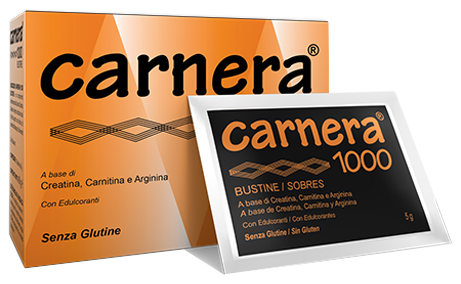 CARNERA 1000 18 BUSTINE - Fontenova srl
