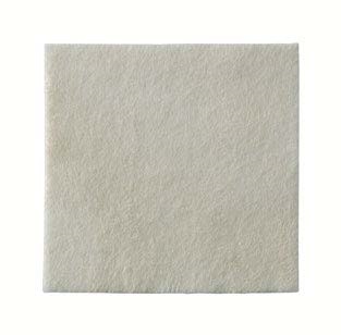 MEDICAZIONE BIATAIN ALGINATE AG ALGINATO CON ARGENTO 10X10CM 10 PEZZI - Fontenova srl