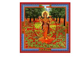 NEESHA-MA GOCCE 30 ML - Fontenova srl