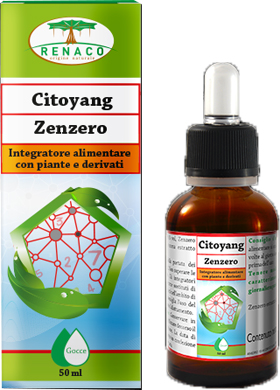 CITOYANG ZENZERO GOCCE FLACONCINO 50 ML - Fontenova srl