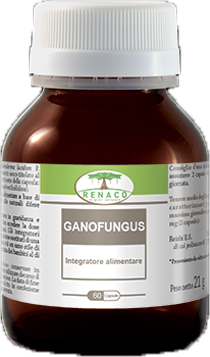 GANOFUNGUS 60 CAPSULE FLACONE 24 G - Fontenova srl