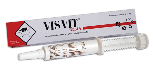 VISVIT PASTA OS SIRINGA 15 G - Fontenova srl