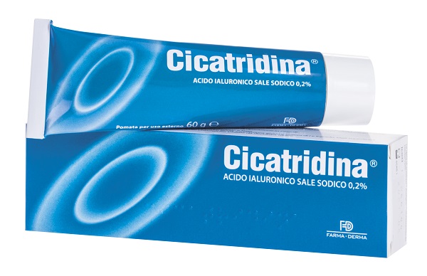CICATRIDINA POMATA 60 G - Fontenova srl