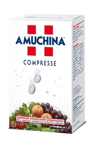 AMUCHINA COMPRESSE 1 G 24 PEZZI - Fontenova srl