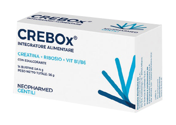 CREBOX 14 BUSTINE - Fontenova srl