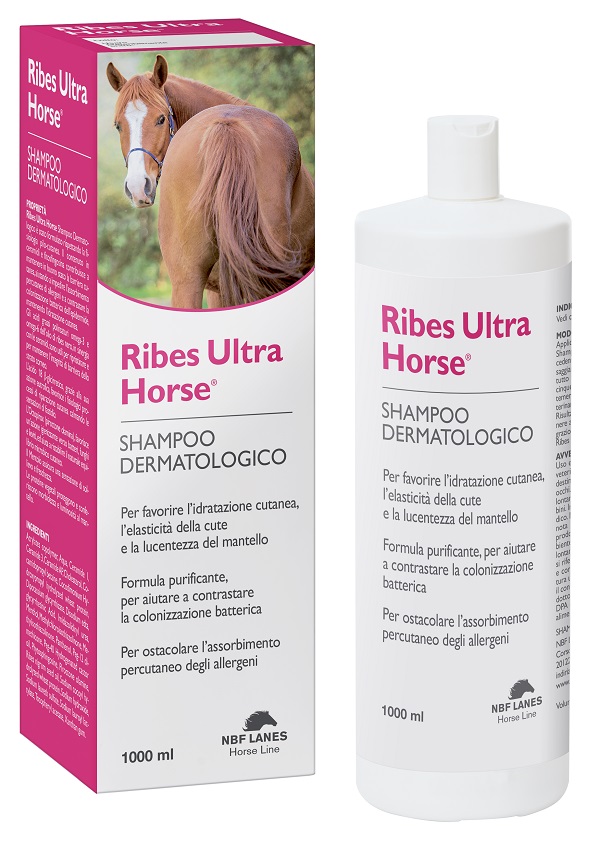 RIBES HORSE ULTRA SHAMPOO DERMATOLOGICO 1 LITRO - Fontenova srl