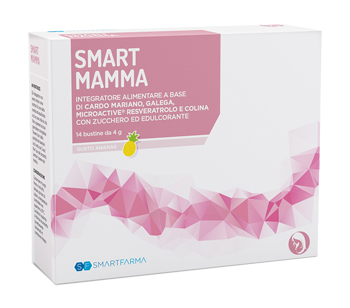 SMART MAMMA 14 BUSTINE GUSTO ANANAS - Fontenova srl