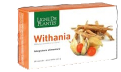 WITHANIA 60 CAPSULE - Fontenova srl