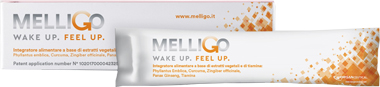 MELLIGO GEL USO ORALE 10 ML STICK - Fontenova srl