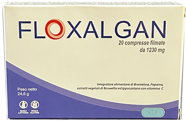 FLOXALGAN 20 COMPRESSE RIVESTITE DA 1,02 G - Fontenova srl