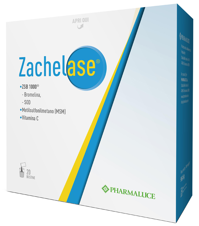 ZACHELASE 20 BUSTINE - Fontenova srl
