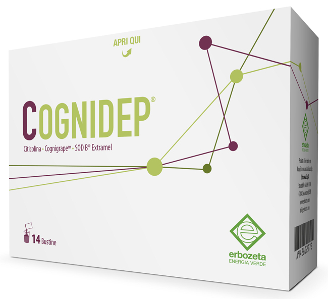 COGNIDEP 14 BUSTINE - Fontenova srl