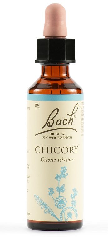 CHICORY BACH ORIG 20 ML - Fontenova srl