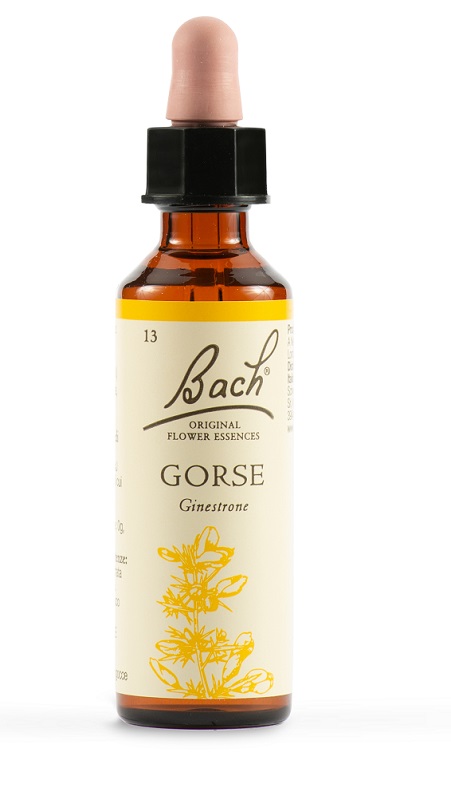 GORSE BACH ORIG 20 ML - Fontenova srl