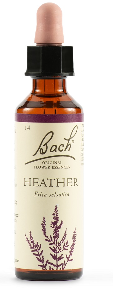 HEATHER BACH ORIG 20 ML - Fontenova srl