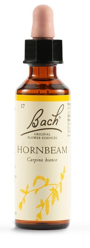 HORNBEAM BACH ORIG 20 ML - Fontenova srl