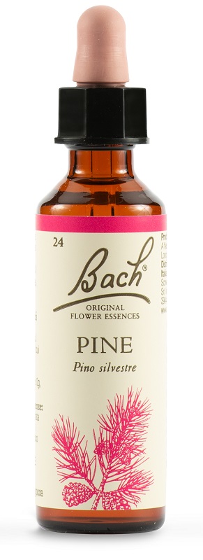 PINE BACH ORIG 20 ML - Fontenova srl