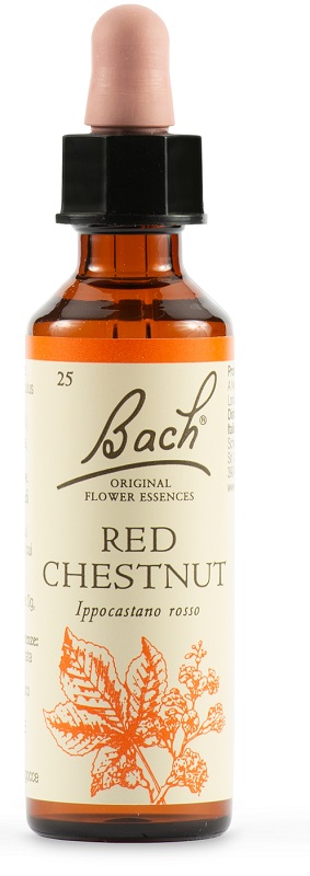 RED CHESTNUT BACH ORIG 20 ML - Fontenova srl