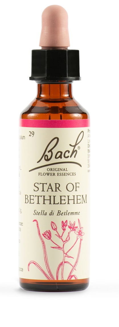 STAR OF BETHL ORIG 20 ML - Fontenova srl