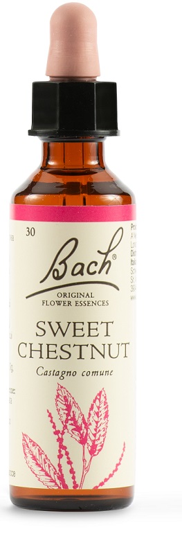 SWEET CHEST BACH ORIG 20 ML - Fontenova srl