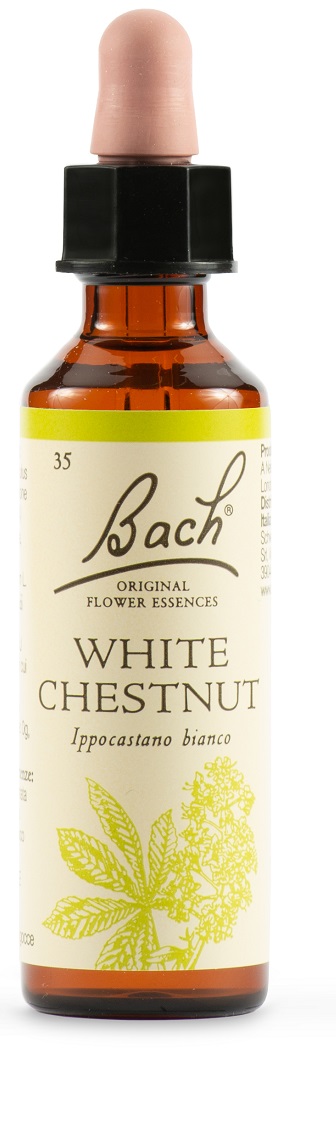 WHITE CHEST BACH ORIG 20 ML - Fontenova srl