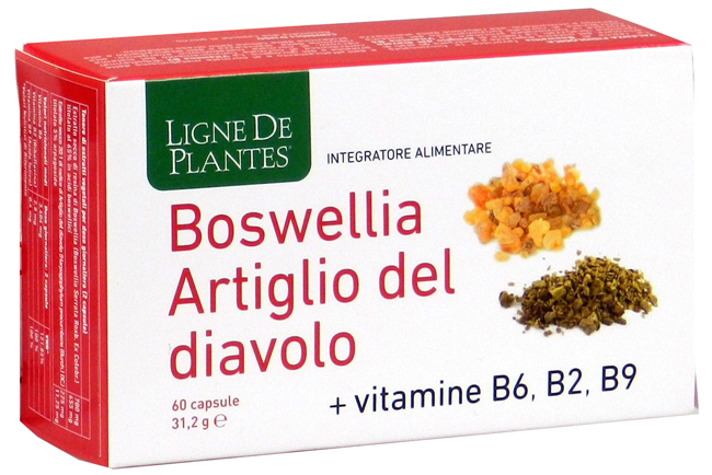 BOSWELLIA ARTIGLIO DIAVOLO VITAMINE B2 B6 B9 60 CAPSULE - Fontenova srl