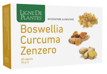 BOSWELLIA CURCUMA ZENZERO 60 CAPSULE - Fontenova srl